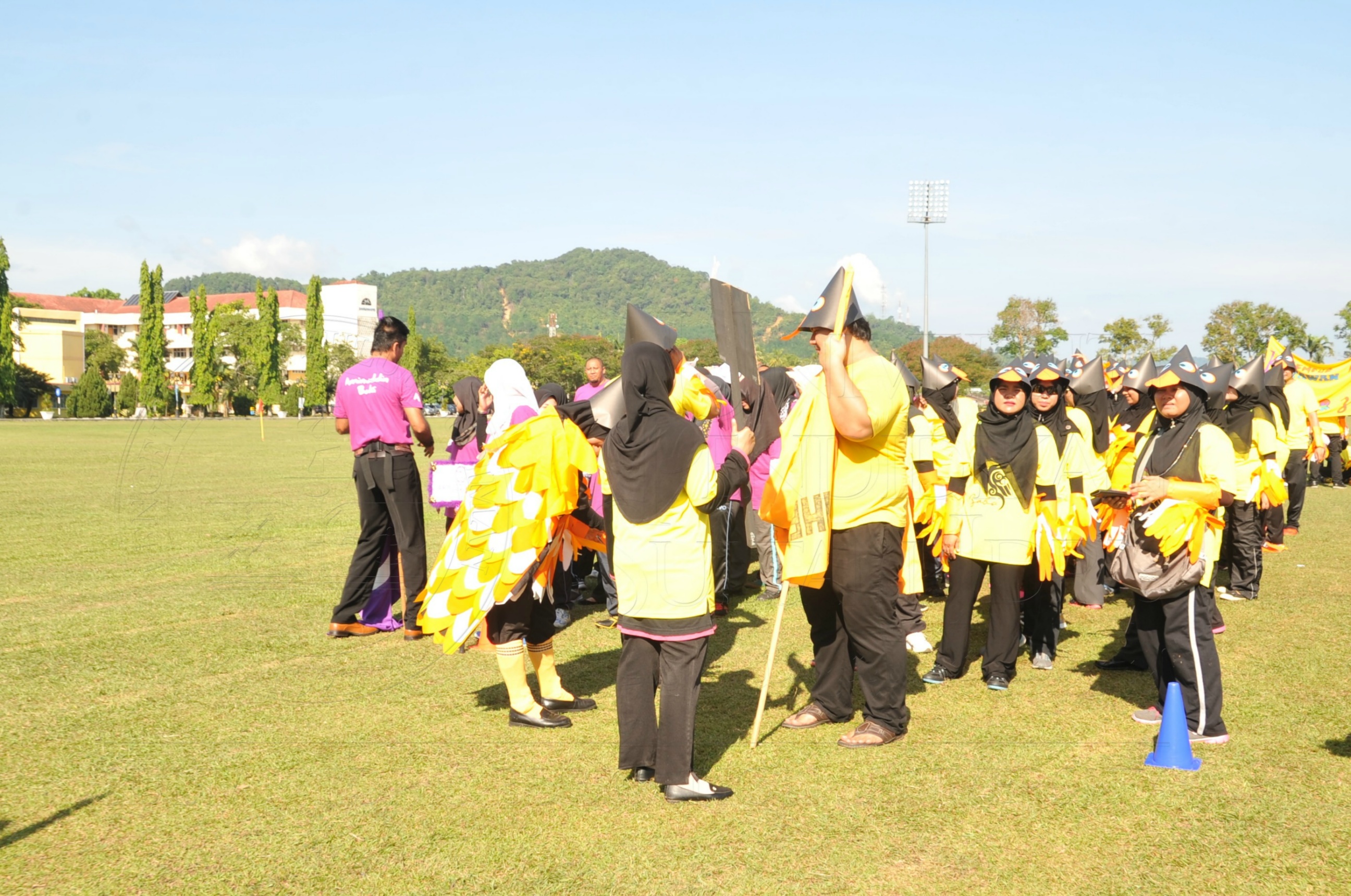 PRO 15 53 KIESTA HAS 4061